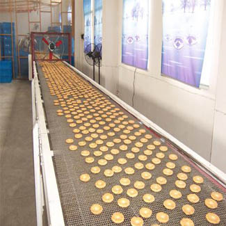 不銹鋼網帶在食品行業的應用
