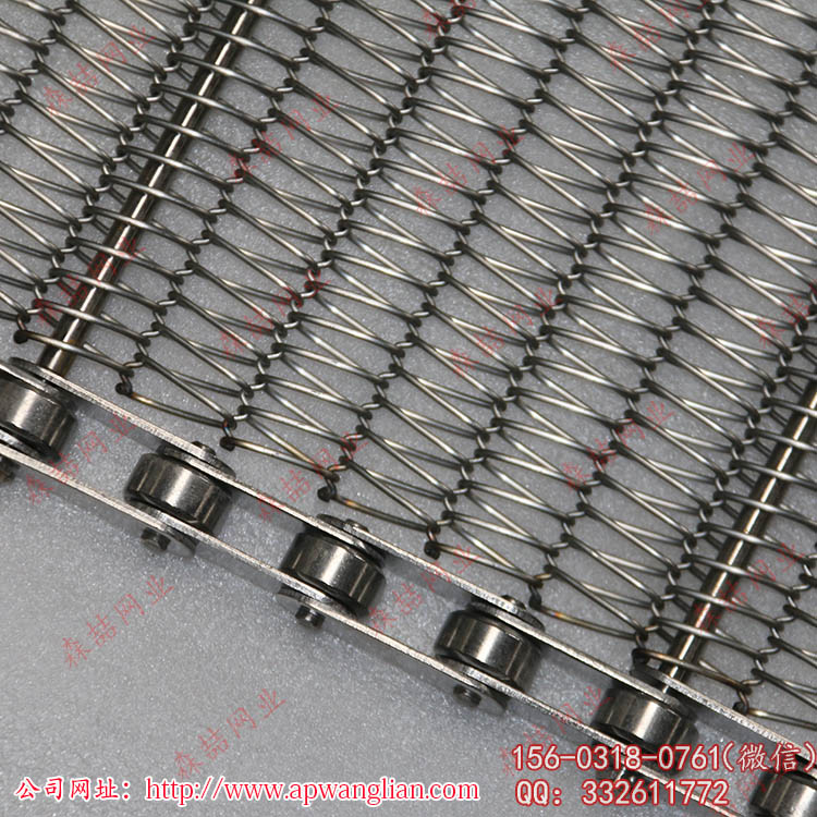 sz-2不銹鋼輸送網帶為什么采用大滾珠鏈條